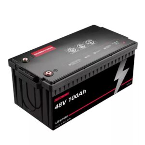 48V 100Ah Lithium Battery